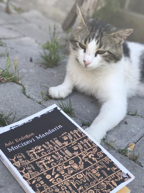 Vegke Kutuk Evleri Ξενοδοχείο Seben Εξωτερικό φωτογραφία
