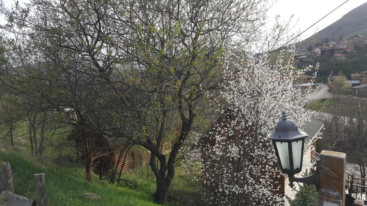 Vegke Kutuk Evleri Ξενοδοχείο Seben Εξωτερικό φωτογραφία